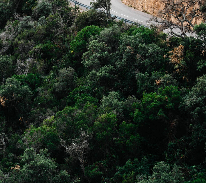 Image without a name