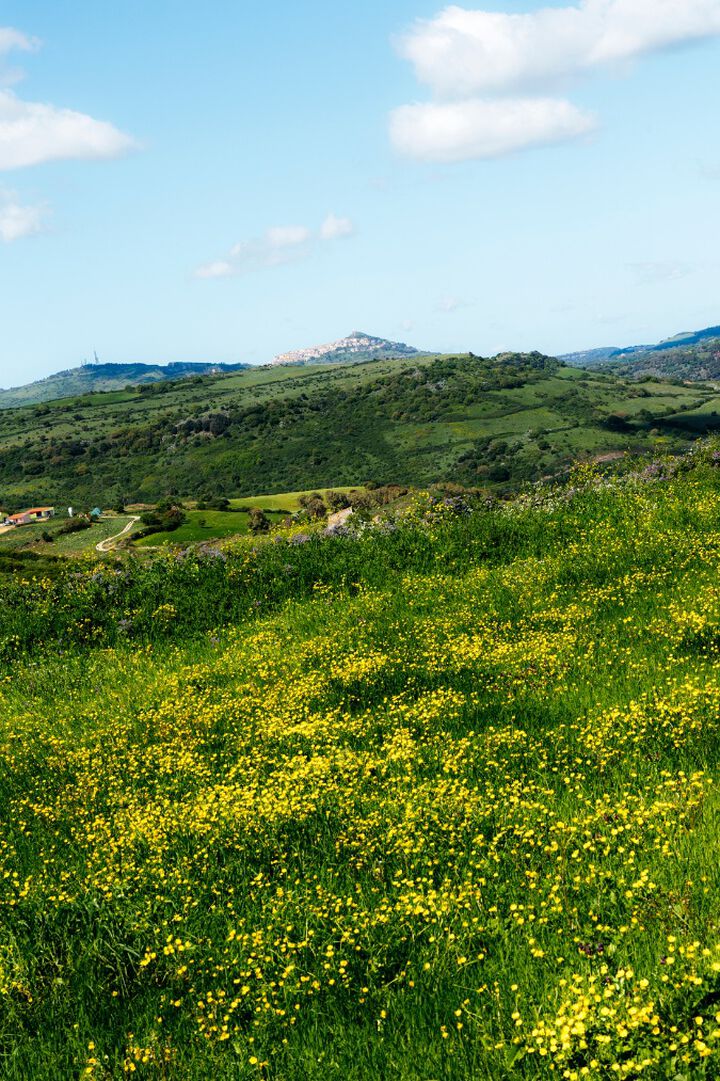 Easter Roads: Bikepacking Sardinia Easter Roads: Bikepacking Sardinia