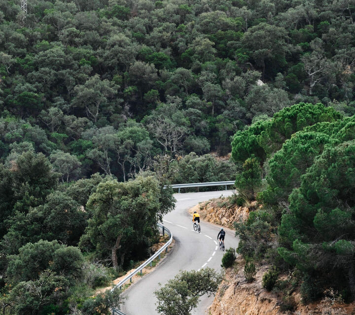 Cycling down a road surrounded by trees