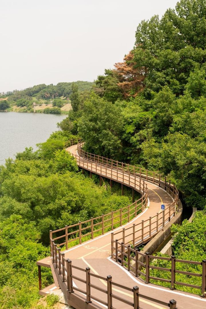 Miles for Thoughts: Falling in Love with Cycling Again