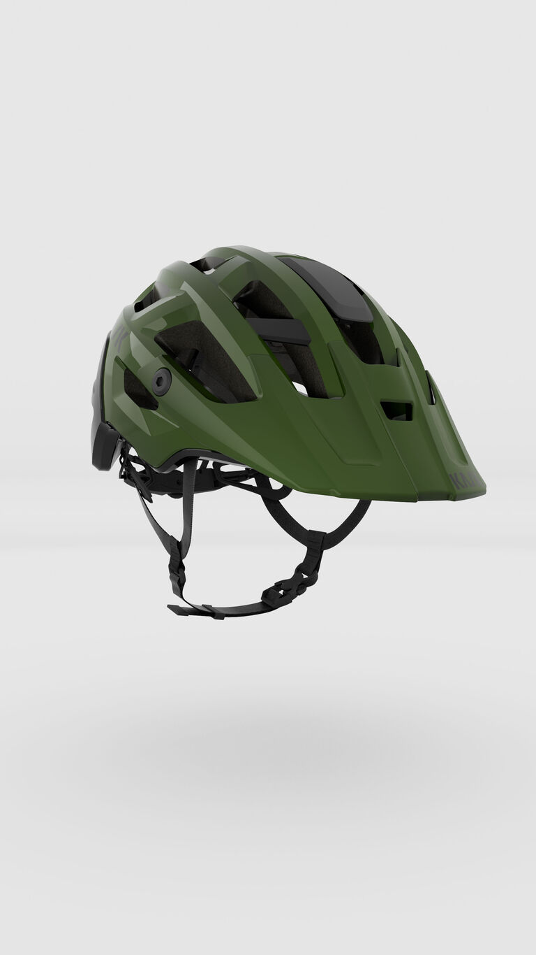 Rex Rex image number 0