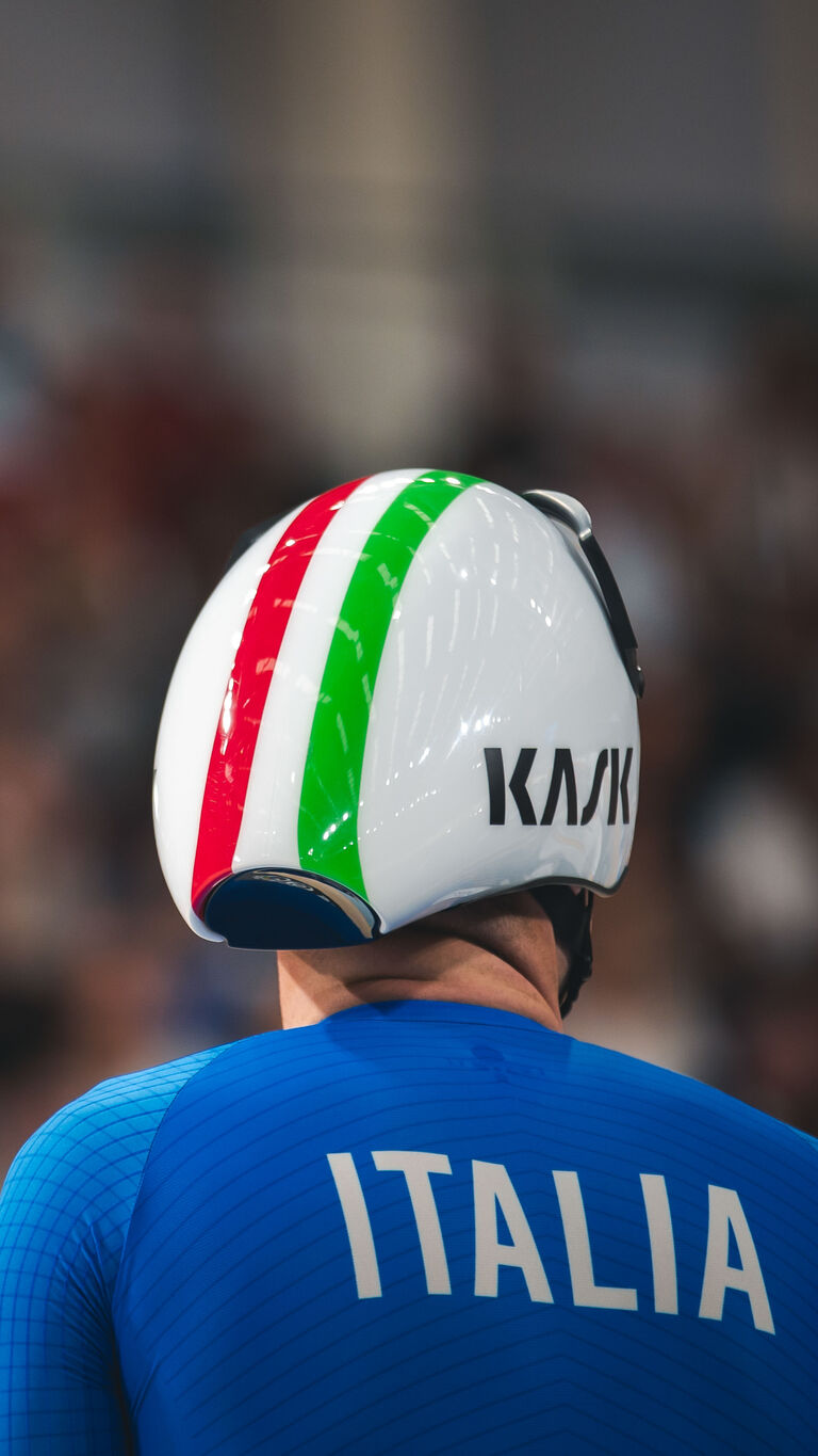 Beluga image number 1