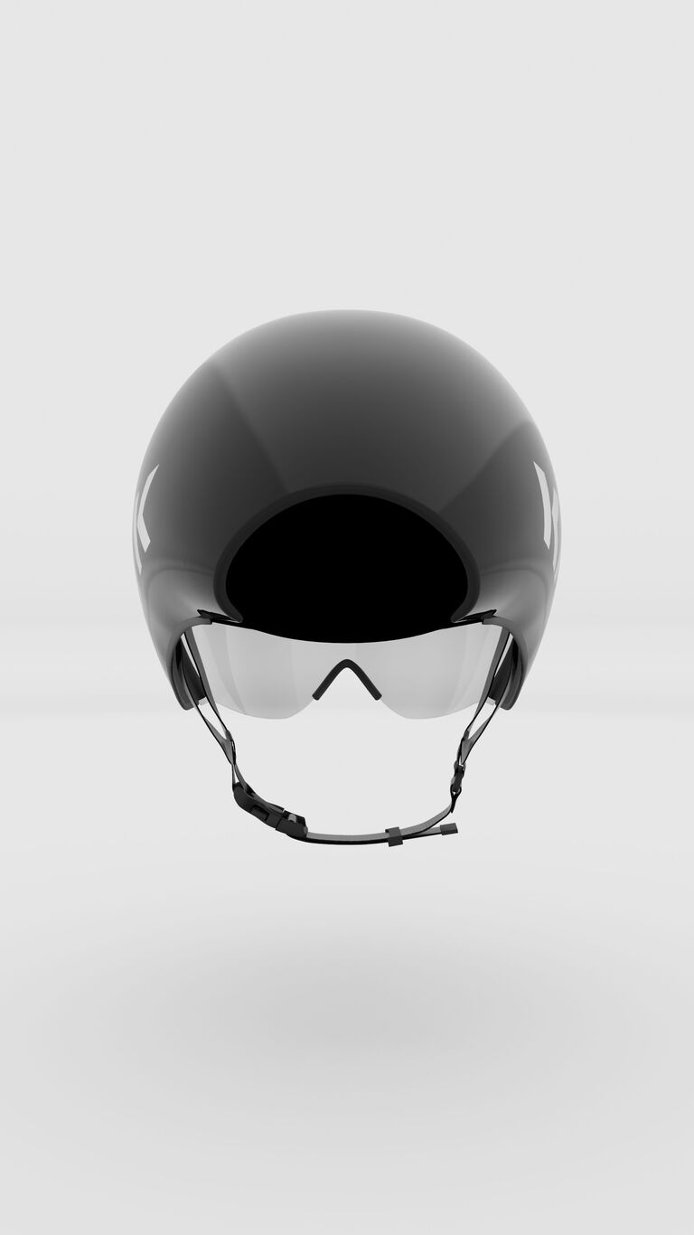 Beluga image number 2