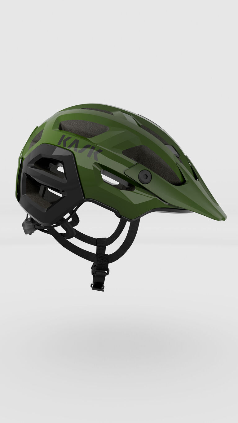 Rex Rex image number 3