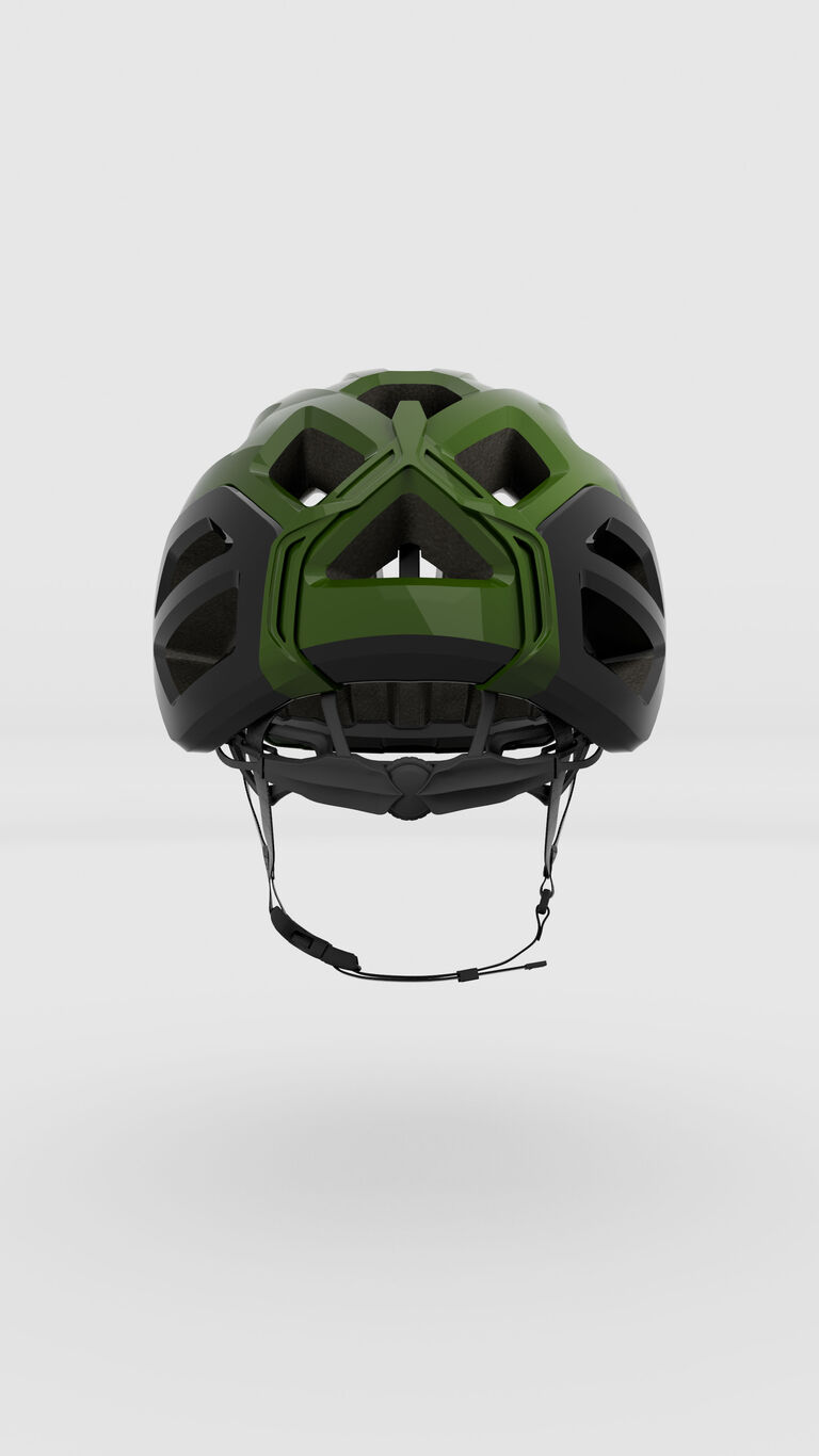 Rex Rex image number 2