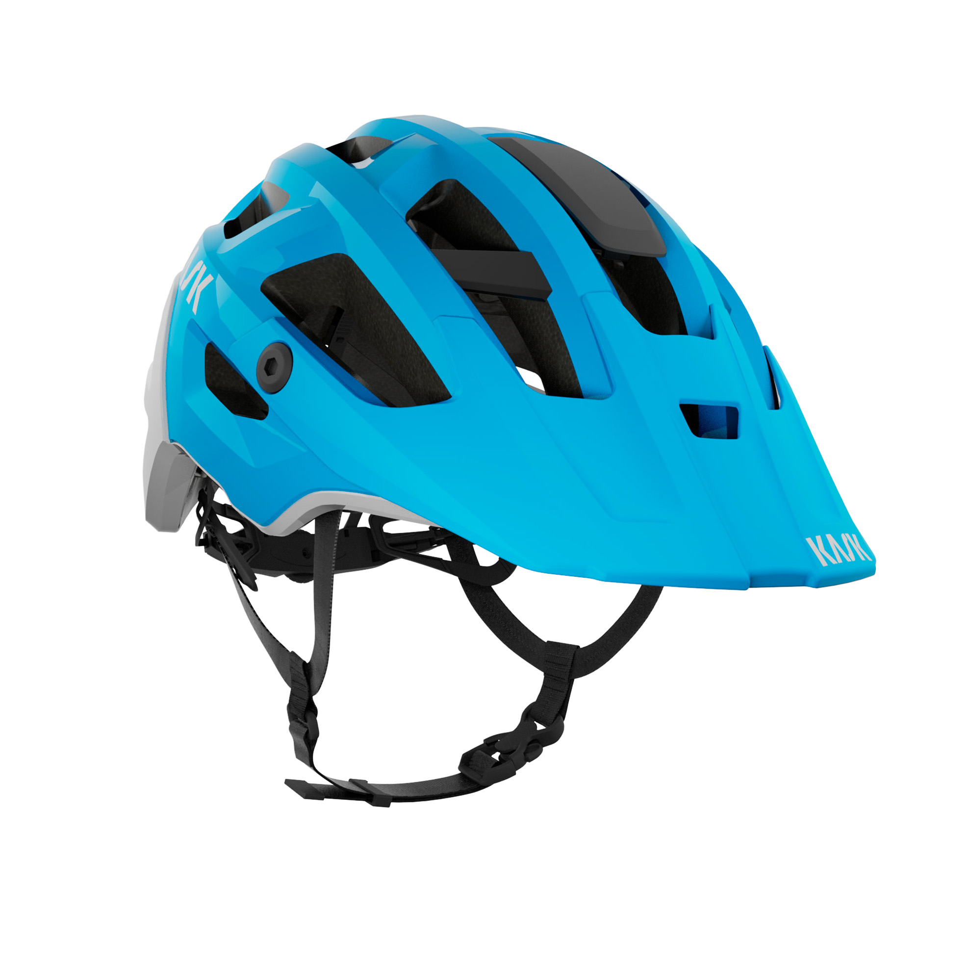 Rex | Kask